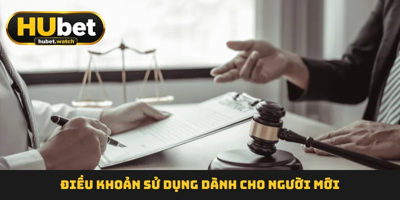 Điều khoản sử dụng dành cho người mới